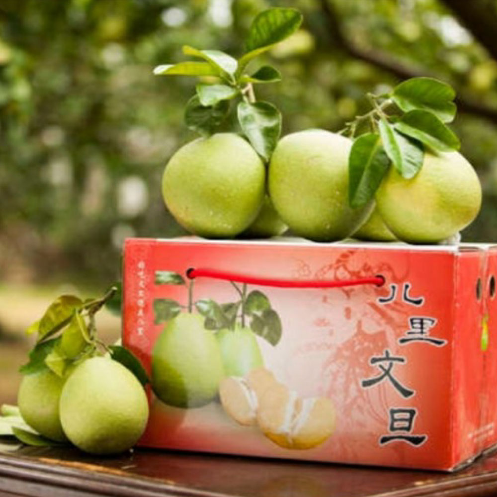 特優八里文旦柚-10斤